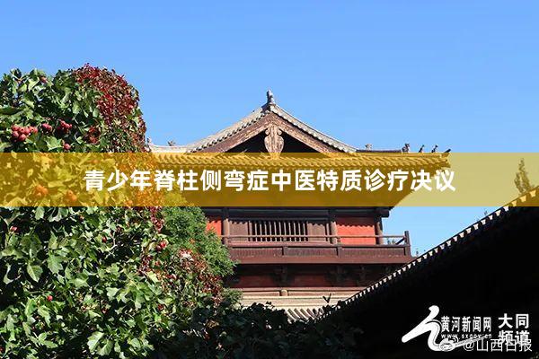 青少年脊柱侧弯症中医特质诊疗决议