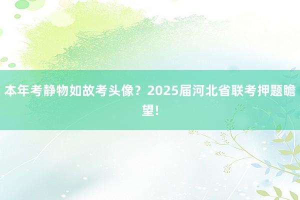 本年考静物如故考头像？2025届河北省联考押题瞻望!