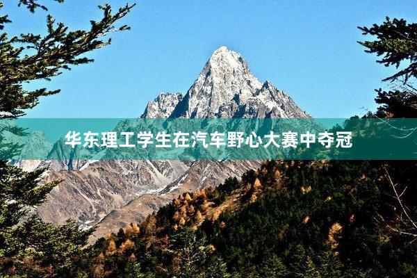 华东理工学生在汽车野心大赛中夺冠