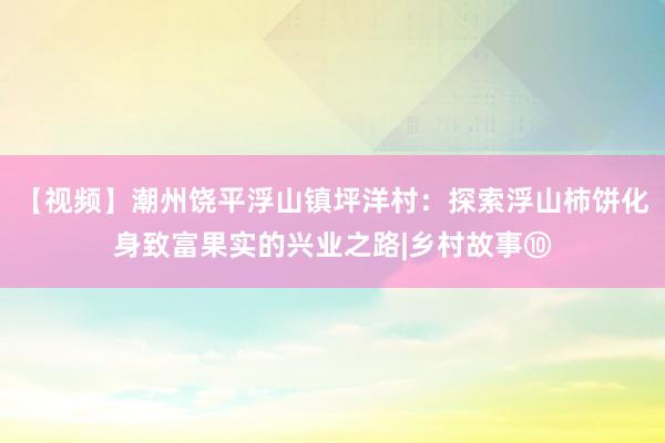 【视频】潮州饶平浮山镇坪洋村：探索浮山柿饼化身致富果实的兴业之路|乡村故事⑩