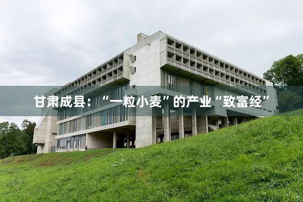 甘肃成县：“一粒小麦”的产业“致富经”