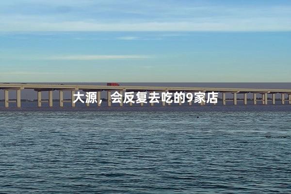 大源，会反复去吃的9家店