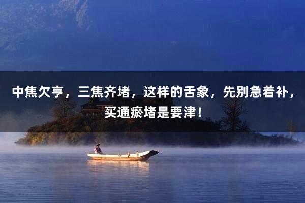 中焦欠亨，三焦齐堵，这样的舌象，先别急着补，买通瘀堵是要津！